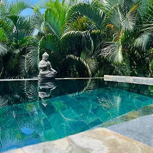 Hébergement de vacances O Palm : Dans Un Petit Ecrin De Verdure, Saint-Joseph