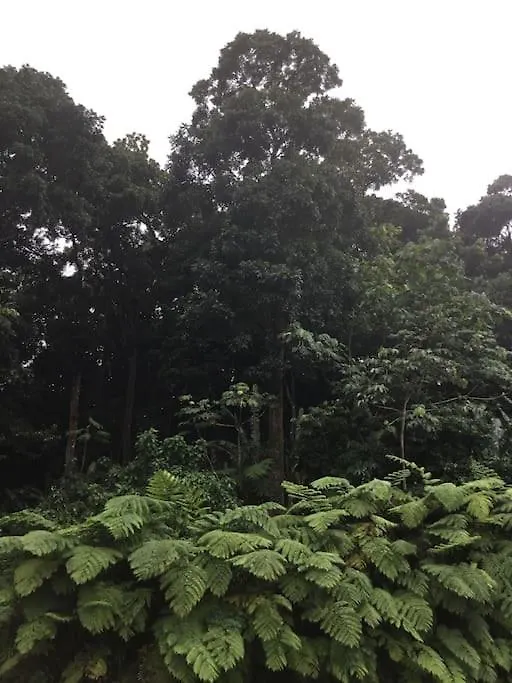 Les Lucioles 2 Beau T3 En Foret Tropicale Avec Piscine Apartment Saint-Joseph